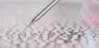 Discover our unique scientific approach, ecobiology.